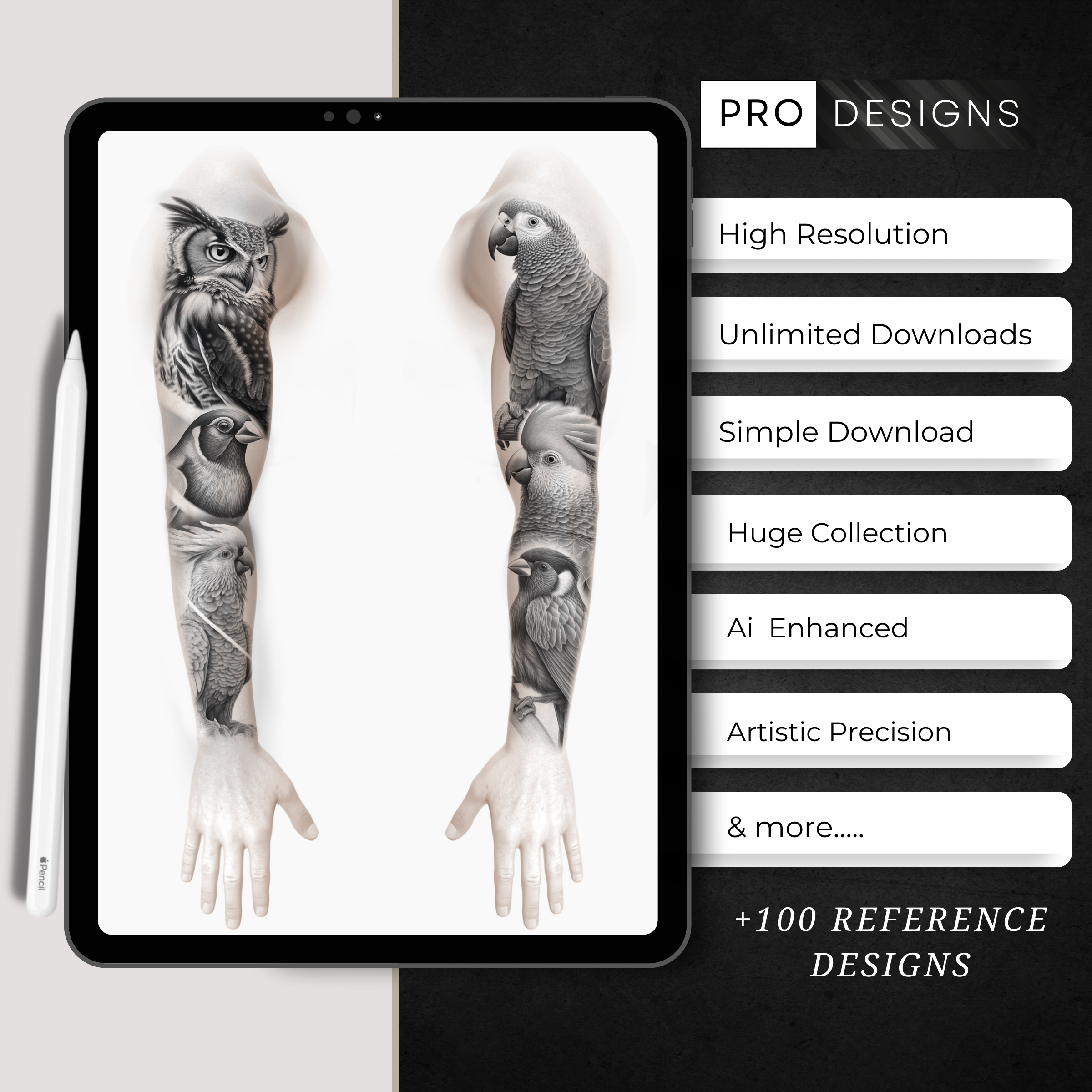 "Wings of Wonder" - The Exotic Birds Collection