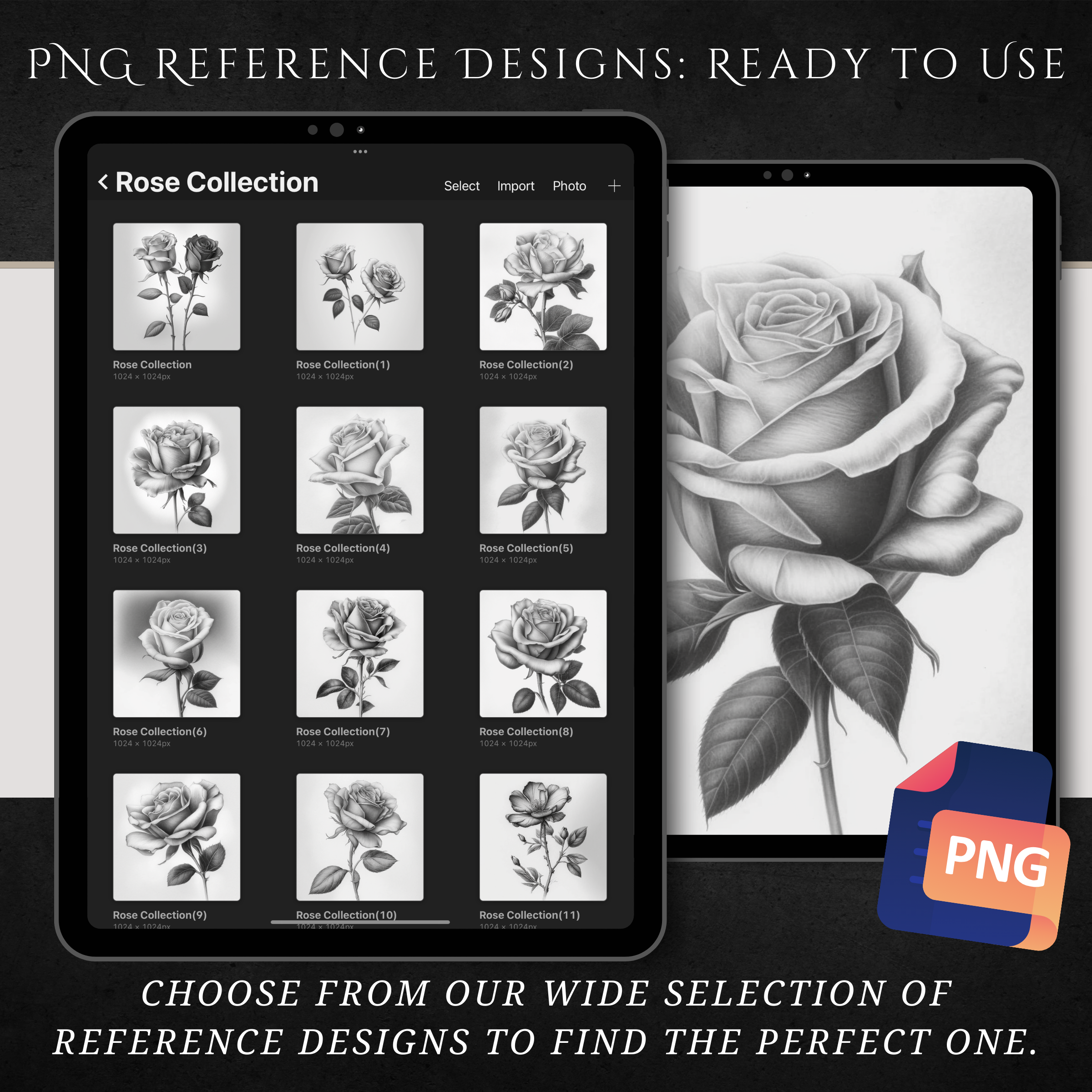 "Bloom of Elegance" - The Rose Collection