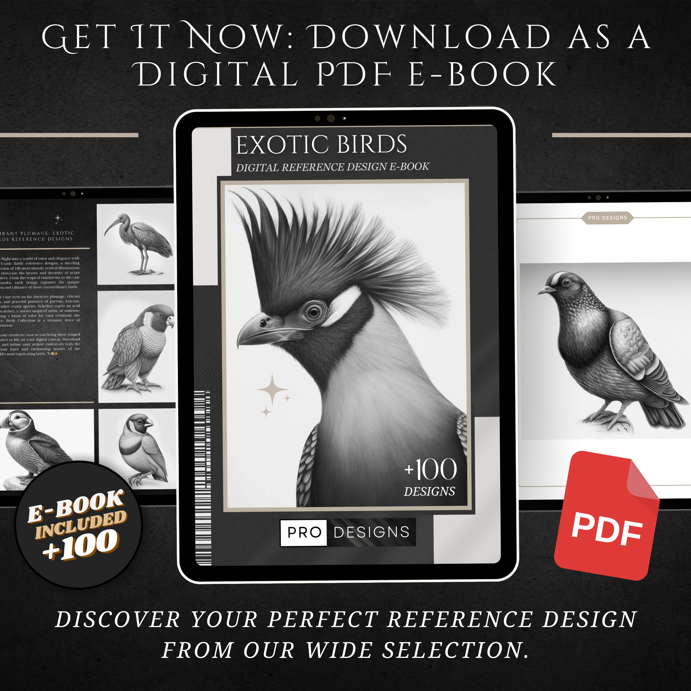"Wings of Wonder" - The Exotic Birds Collection