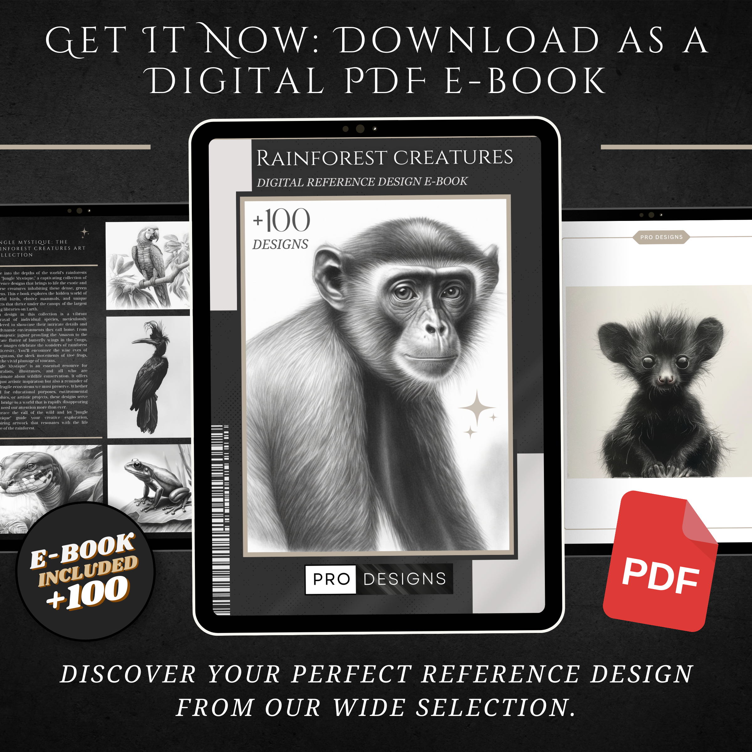 Rainforest Creatures - Discover the Wonders of the Jungle