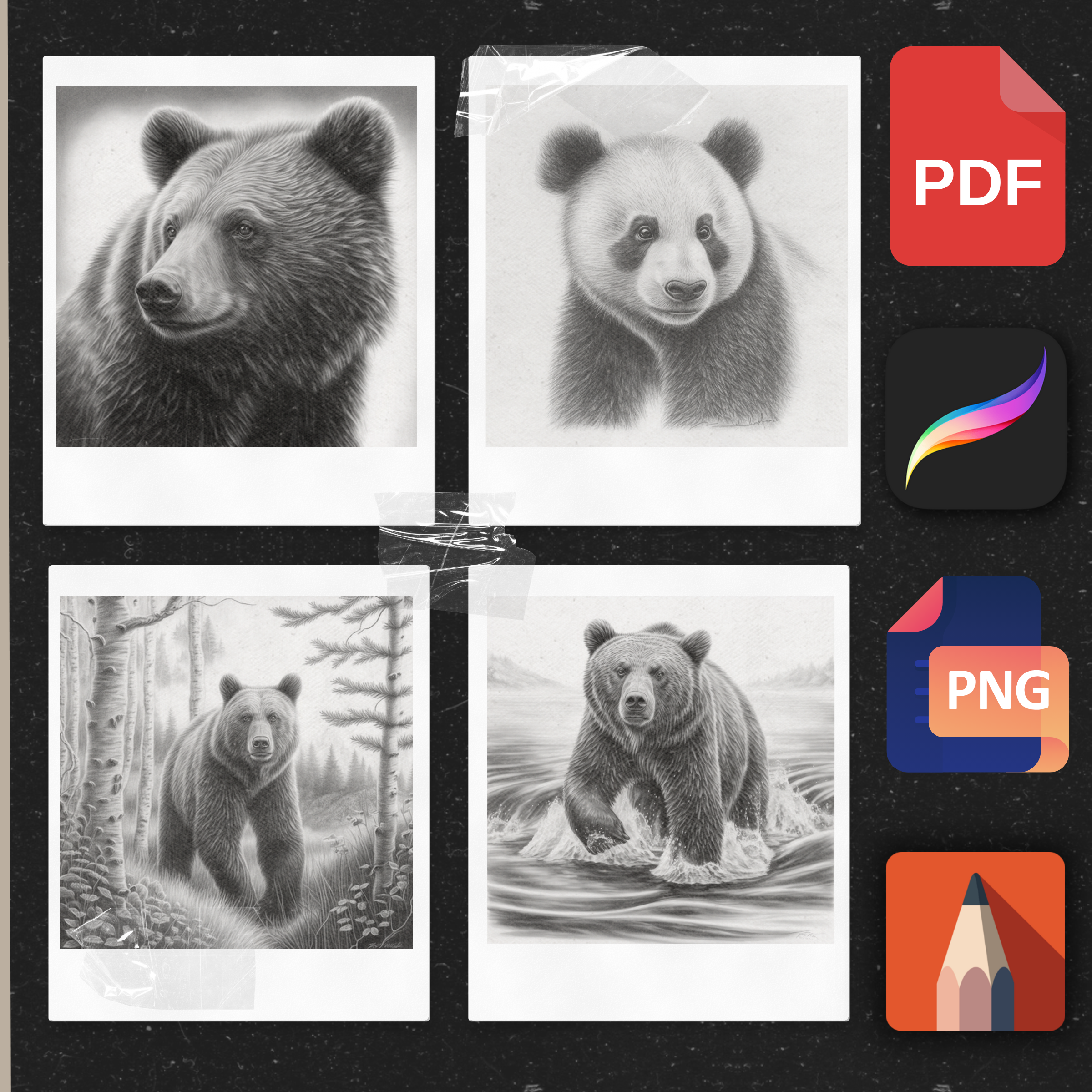 "Bear Collection" - Unleash the Power and Majesty of the Wilderness