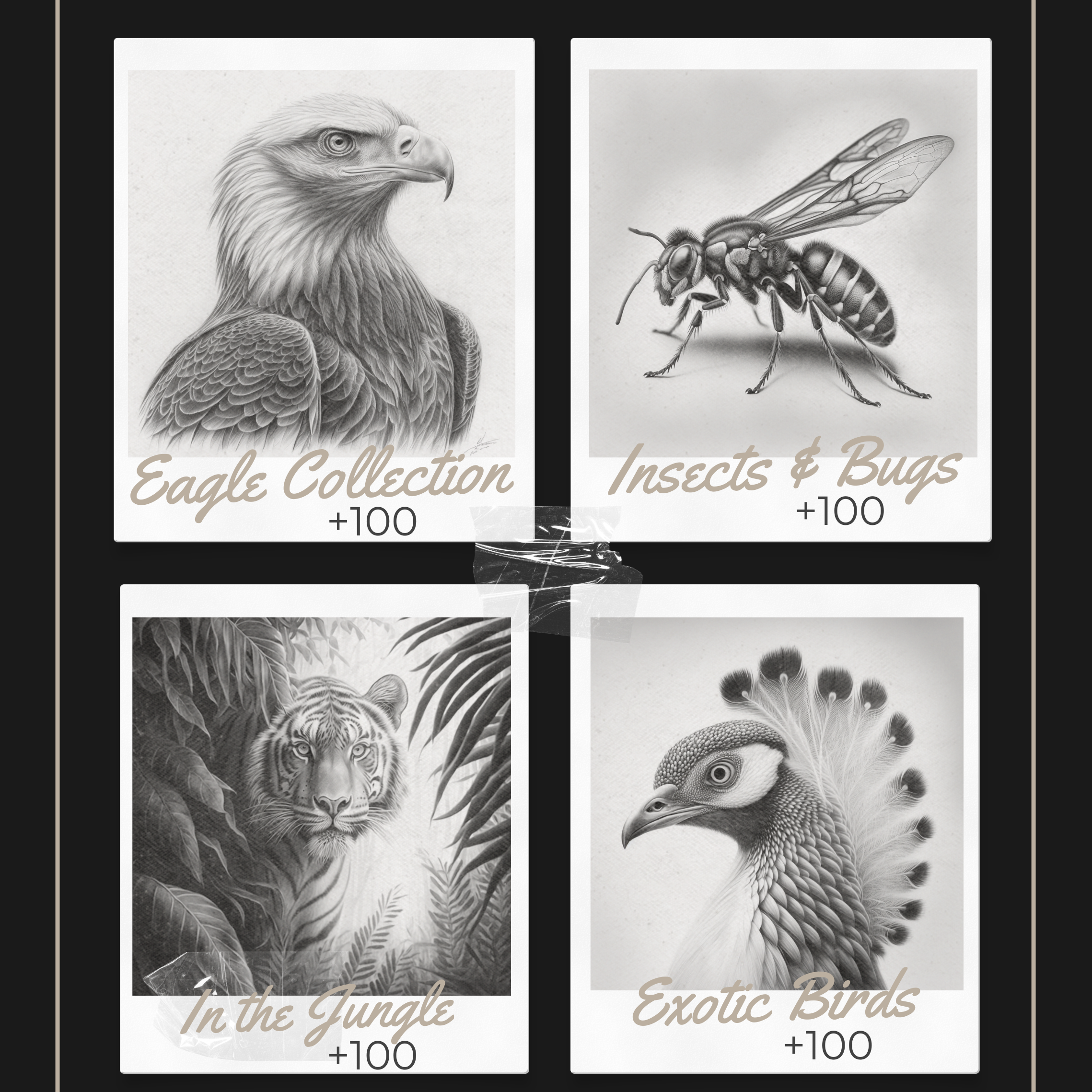 "Animal Kingdom Collection Mega Bundle: The Ultimate Zoological Art Odyssey"