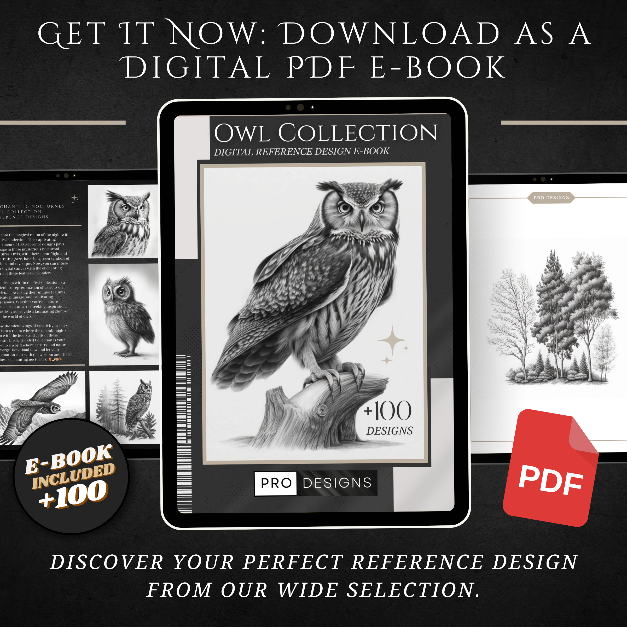 "Whispers of the Night" - The Owl Collection