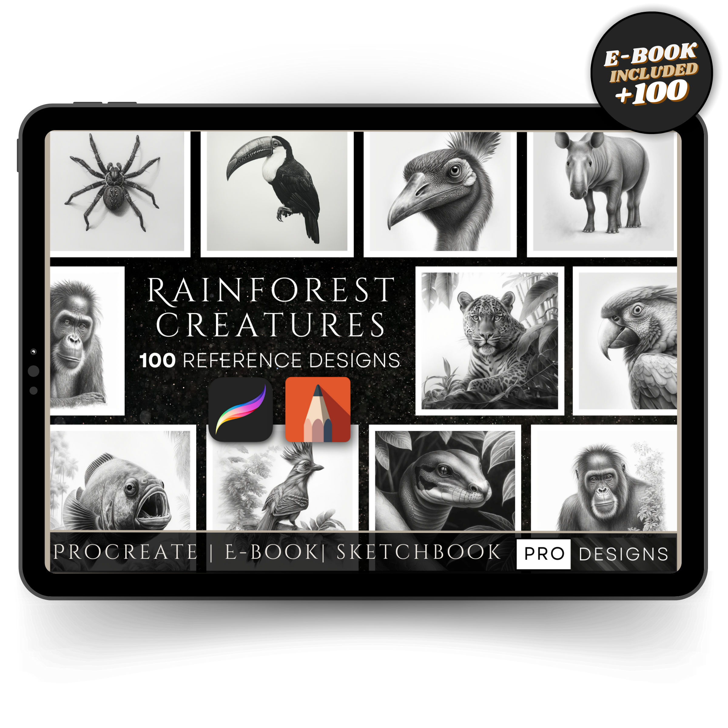 Rainforest Creatures - Discover the Wonders of the Jungle