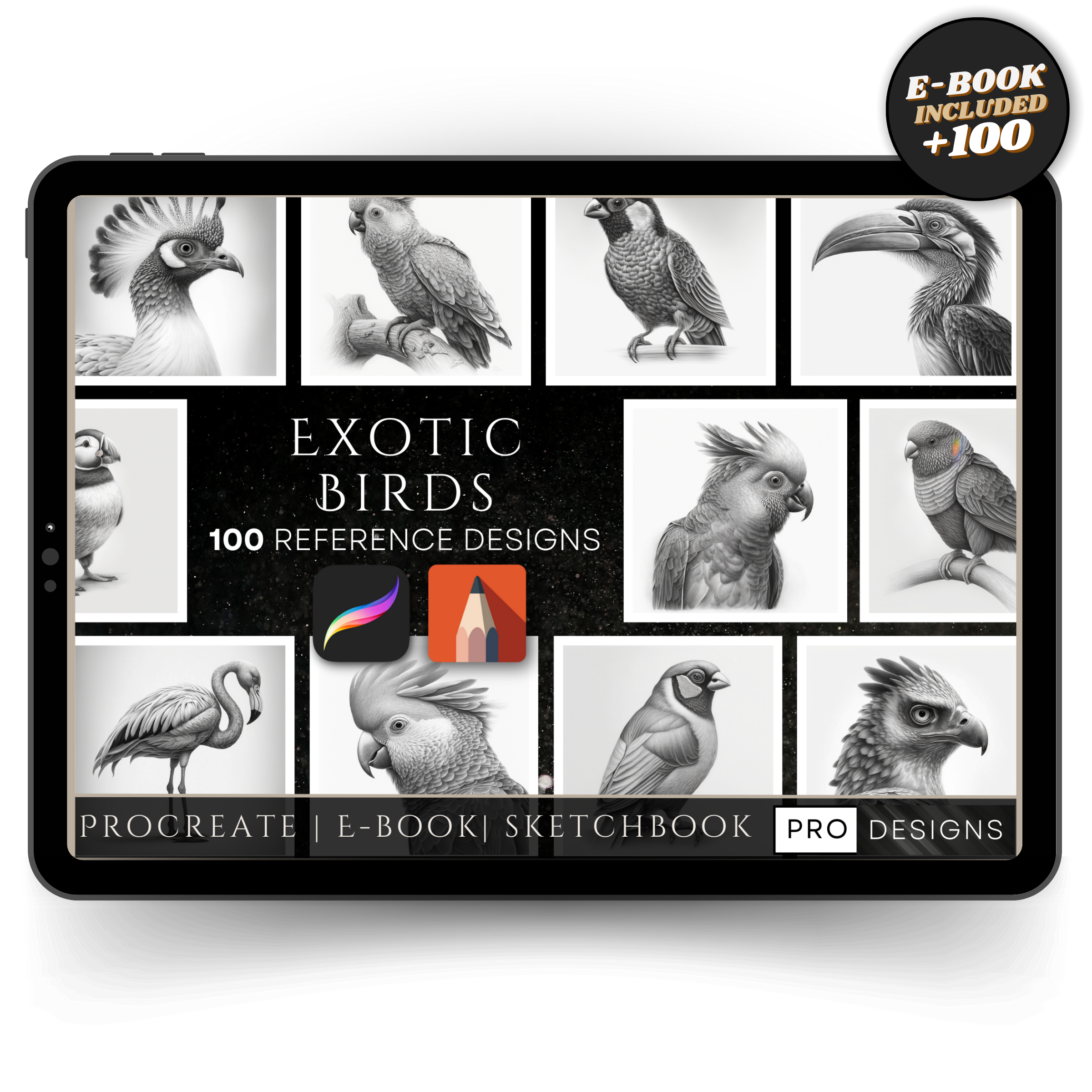 "Wings of Wonder" - The Exotic Birds Collection