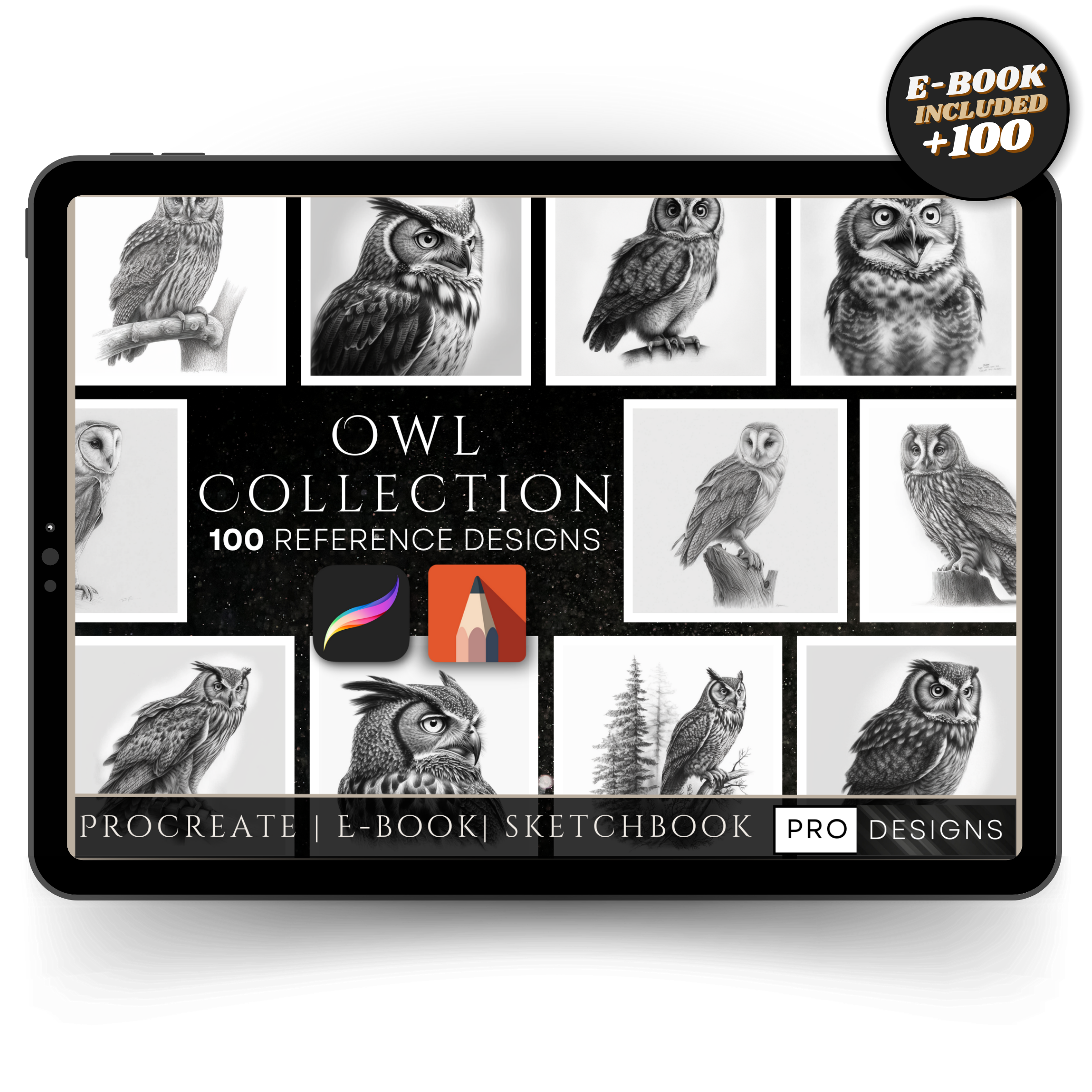 "Whispers of the Night" - The Owl Collection