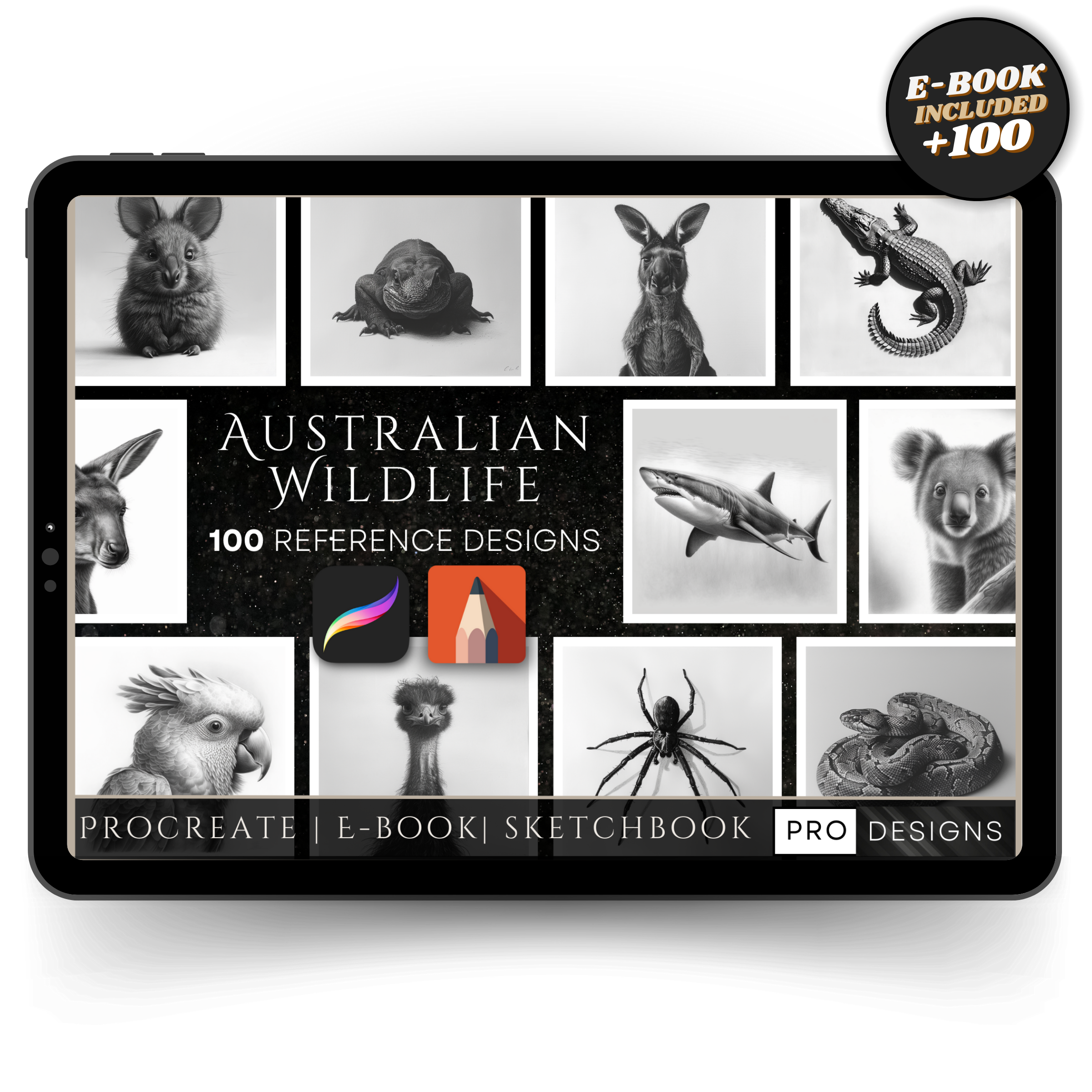 Australian Wildlife - Explore the Unique Wonders of Down Under