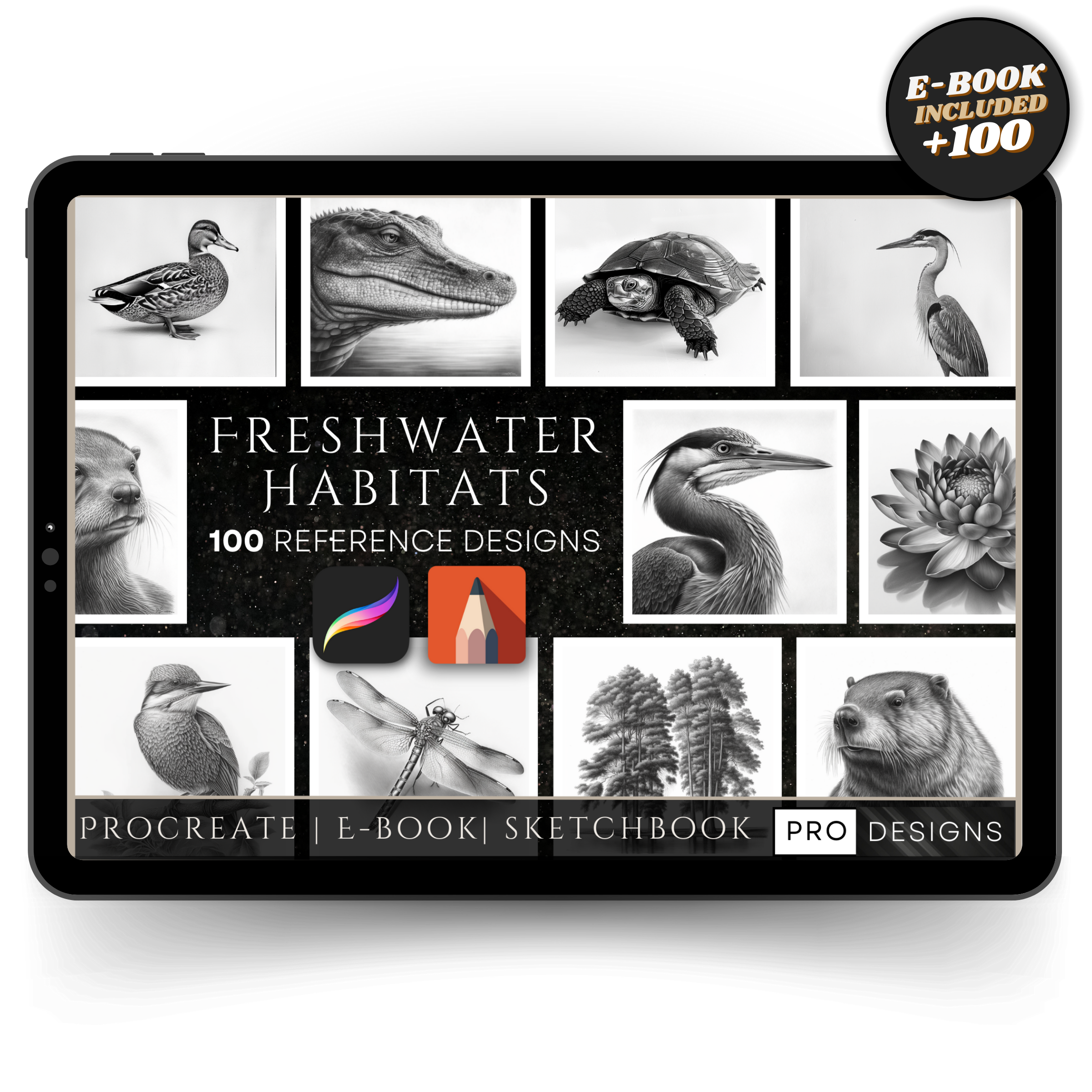 Freshwater Habitats - Dive into the Serene Beauty of Aquatic Life